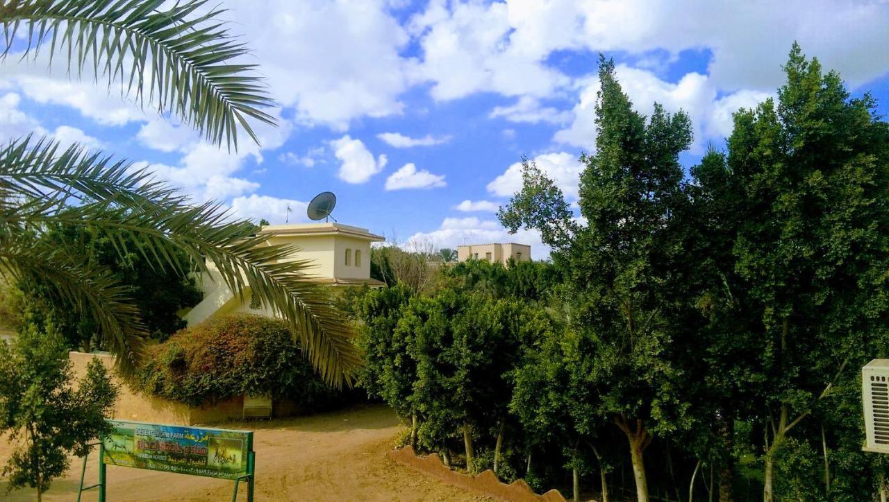 The Farm - Hotel & Horse Riding Cairo Ngoại thất bức ảnh