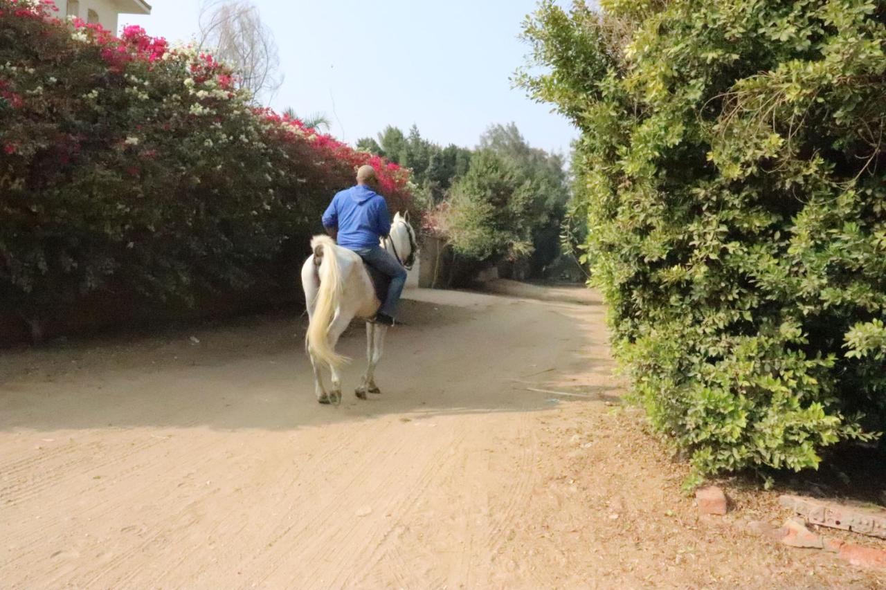 The Farm - Hotel & Horse Riding Cairo Ngoại thất bức ảnh